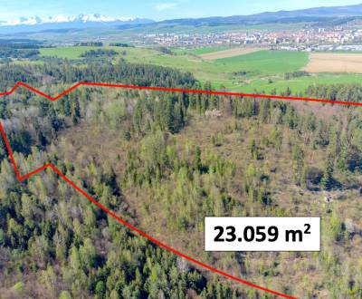 Spišská Nová Ves 23.059 m2 – LES 1/1 vo výlučnom, súkromnom vlastníctv