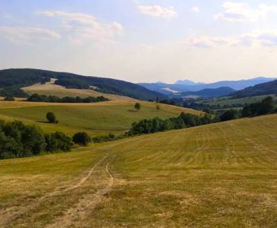 Hoštiná – 20.700 m2 ORNÁ PÔDA a LES pri Púchove - Na predaj