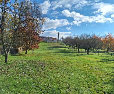 NA PREDAJ STAVEBNÝ POZEMOK, 1323 M2, ŠARIŠSKÉ SOKOLOVCE