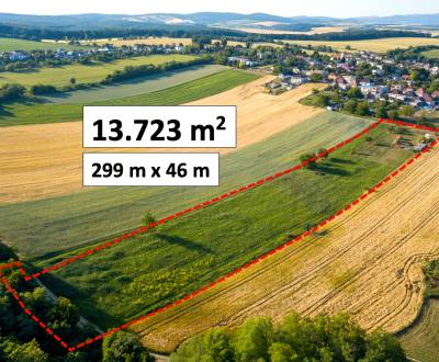 Farma / Chov koní pri Hlohovci - 13.700 m2 POZEMOK NA PREDAJ