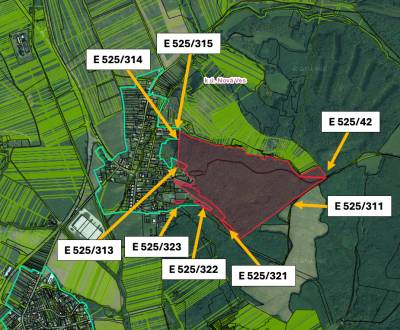 Nová Ves – 900 m2 LESÍK pri obci – NA PREDAJ