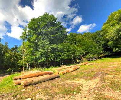 Smolnícka Huta - 1.900 m2 LES - Na predaj