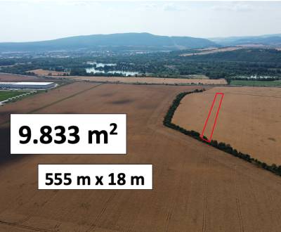 Beckov – 9.833 m2 ORNÁ PÔDA v podiele 1/1 – Predaj