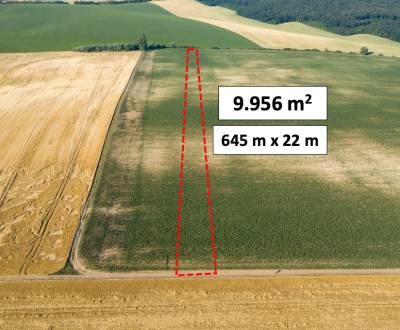 Pastuchov (Hlohovec) - 9.956 m2 ORNÁ PÔDA - Na predaj