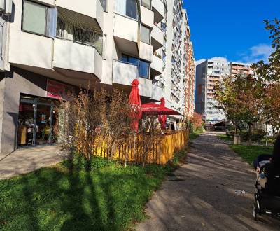 Pekný, 2 izbový byt na Fedinovej ul.