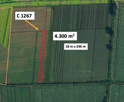 Fiľakovské Kováče – 4.300 m2 ORNÁ PÔDA 1/1 - Predaj