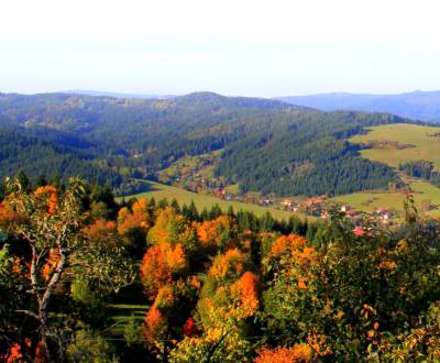 Korňa – 15.100 m2 LES NA PREDAJ