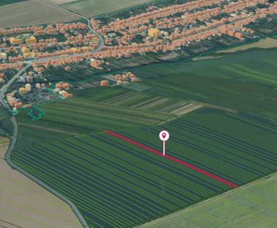 Budmerice – 2.805 m2 ORNÁ PÔDA v podiele 1/1 - Predaj