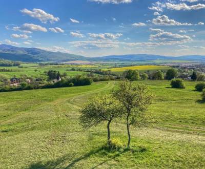 Dlhé Pole – 45.400 m2 LESY a ORNÁ PÔDA – Na Predaj