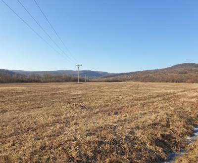 Lúka, záhrady od 3.000m2 – 18.000m2  s dobrým prístupom. Pezinok