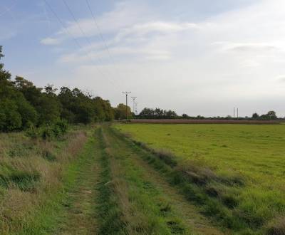 Rekreačný pozemok za Potočnou ul. v Báhoni, 30km od Bratislavy.