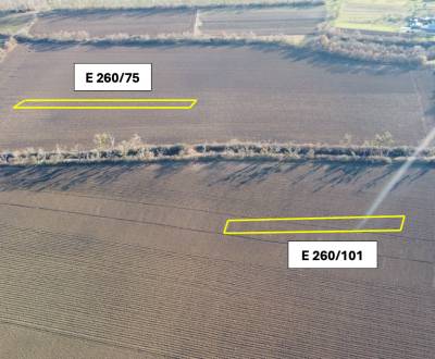 Zbudza – 4.336 m2 ORNÁ PÔDA podiel 1/1 – Predaj