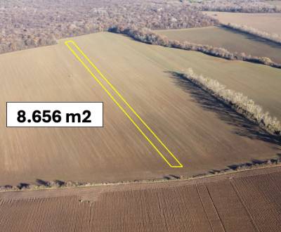 Zbudza - 8.656 m2 ORNÁ PÔDA podiel 1/1 – Predaj