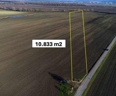 Vysoká pri Morave – 10.833 m2 ORNÁ PÔDA podiel 1/1 – Predaj