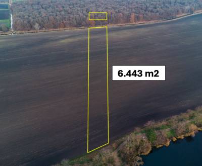 Vysoká pri Morave - 6.443 m2 ORNÁ PÔDA a LES podiel 1/1 – Predaj