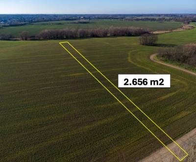 Vysoká pri Morave – 2.565 m2 ORNÁ PÔDA podiel 1/1 – Predaj