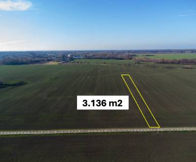 Vysoká pri Morave – 3.136 m2 ORNÁ PÔDA podiel 1/1 – Predaj