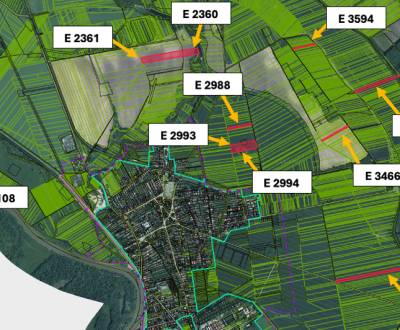 Vysoká pri Morave – 63.817 m2 ORNÁ PÔDA a LES podiel 1/1 - Na predaj