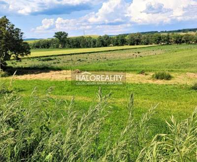 Predaj, pozemok pre rodinný dom   1801 m2 Hrnčiarske...