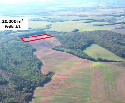 Trebušovce – 20.000 m2 ORNÁ PÔDA podiel 1/1 – Predaj