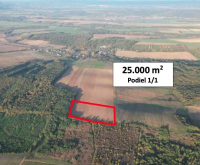 Trebušovce – 25.000 m2 ORNÁ PÔDA podiel 1/1 – Predaj