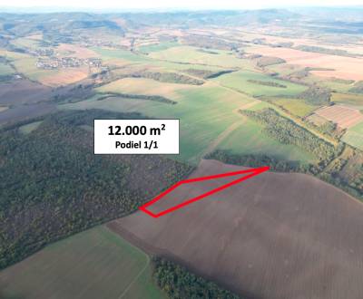 Trebušovce – 12.000 m2 ORNÁ PÔDA podiel 1/1 – Predaj