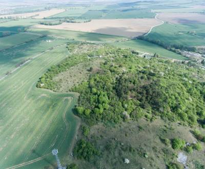 PREDAJ - Pozemok s krásnymi výhľadmi v lesnom prostredí - Podhorany