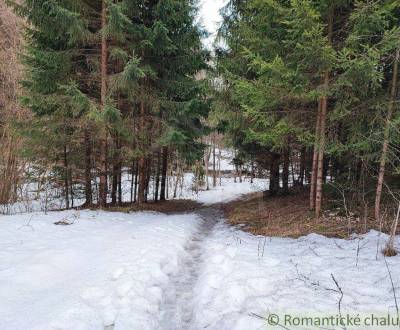 Pozemok pri potoku v lese, Nízke Tatry