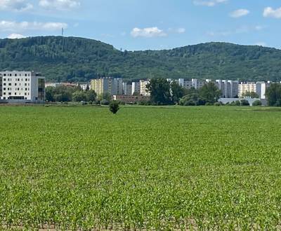 Pozemok  11 600 m2 na predaj,  Zvolen