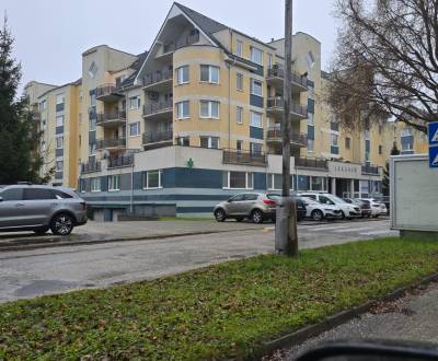 Ponúkame na predaj atraktívny nebytový priestor 300 m², Piešťany