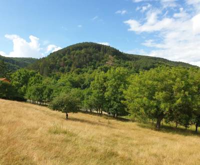 Orná pôda 2 x 6.000m2 v obci Prašník. okr. Piešťany