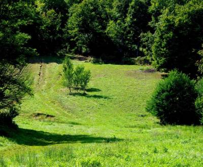 Hľadáme pre klienta: Rekreačný pozemok pri lese; cca 4500-5000m2