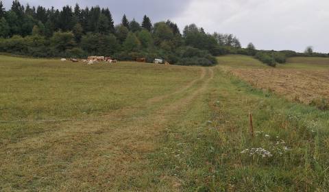 Predaj: Pozemok 5890 m2 pre rekreačný alebo farmársky zámer v Turí