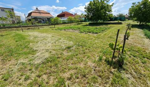 Predám 20a stavebný pozemok v obci Dvory nad Žitavou