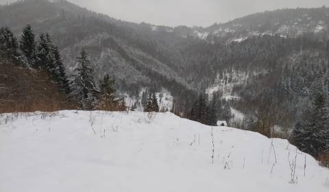 Rekreačný pozemky v nádhernej lokalite Oščadnica U Haladeji 