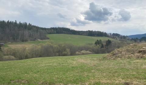 Na predaj pozemok v mestskej časti Srňacie, 7000m2