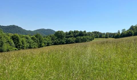 Rekreačný pozemok v obci Nimnica 3233m2