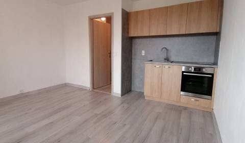 IBA U NÁS! Prenájom, garsónka 28m2, lodžia 6m2, L. Novomeského,Trenčín