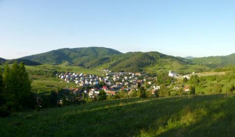 Predaj podielov pozemkov, orná pôda, TTP,  Valaská Bela okre Prievidza