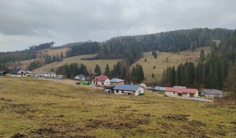 Predaj : Pozemok 1025m2 v obci Snežnica