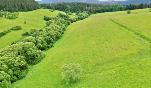 Predaj Rekreačného Pozemku 5320 m2 v Obci Peklina