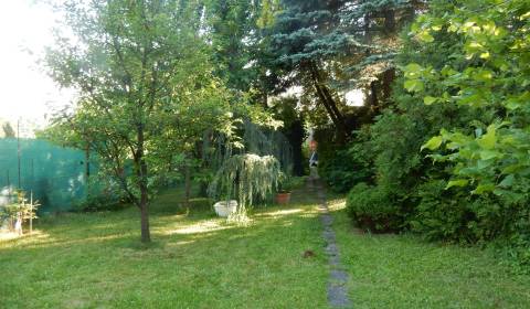 Svinica, záhrada 821m2, ovocné stromy a kríky, Košice - okolie