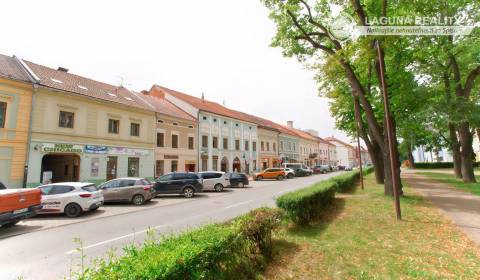 Obchodné priestory (90 m2) Zimná ul. Sp. Nová Ves