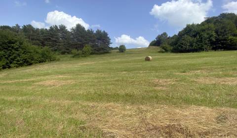 Veľký rekreačný pozemok s chatkou, Streženice (Púchov), 2400 m2