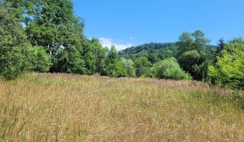 Veľký pozemok 1261 m2 v obci Dohňany