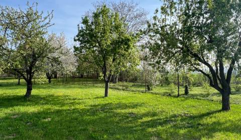 Stavebný pozemok 563 m2 v obci Kocurice pri Piešťanoch REZERVOVANÉ