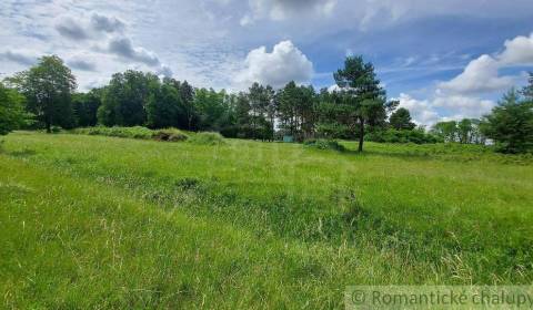 Lesný pozemok 37 000 m2 - 3,7 ha v obci Borský Mikuláš, 60 km od BA na