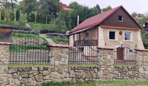 Štýlový dom v Senici, vhodný aj na podnikanie, v blízkosti Kunovskej p