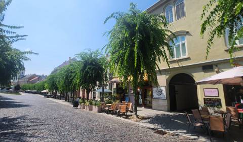 Mezonetový byt na Mierovom námestí pod hradom, Trenčín