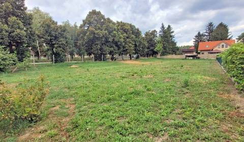 Predaj stavebných pozemkov v obci Horné Saliby - Hrušov v r.520m2